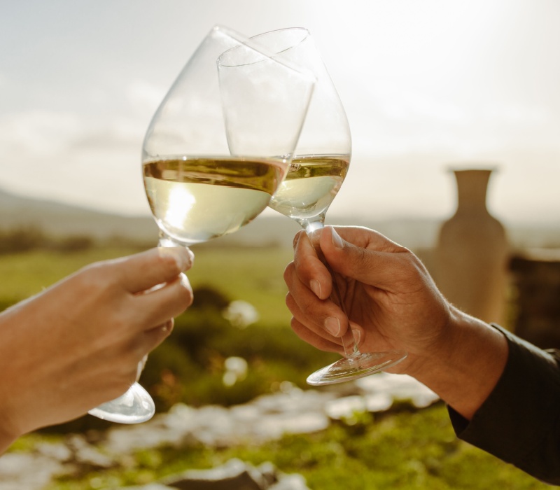 Two people holding up glasses of wine.